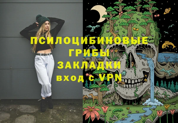 spice Костерёво