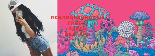 СК Абаза
