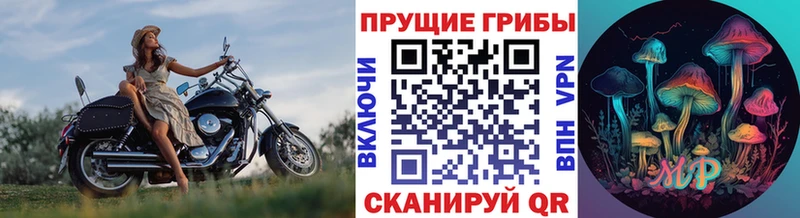Галлюциногенные грибы Psilocybe  Киренск 